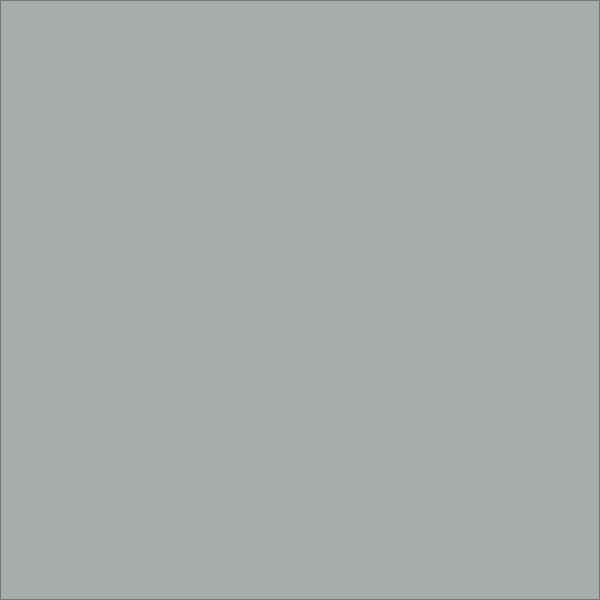 Regent Grey 18730